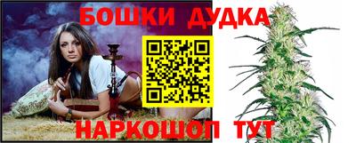 apvp Гусев